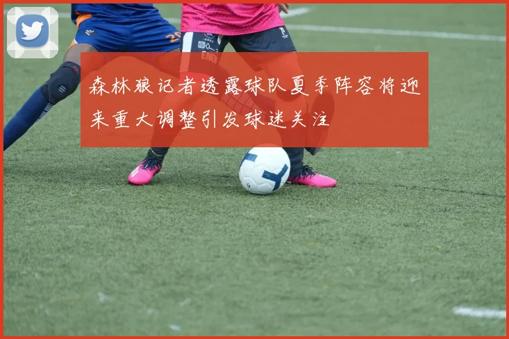 森林狼记者透露球队夏季阵容将迎来重大调整引发球迷关注