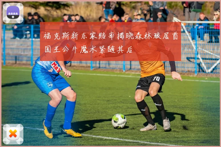 福克斯新东家赔率揭晓森林狼居首国王公牛魔术紧随其后
